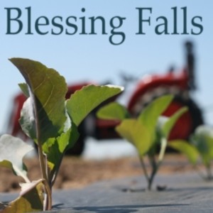 Blessing Falls Family Farm