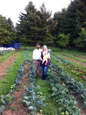 Springtail Farm