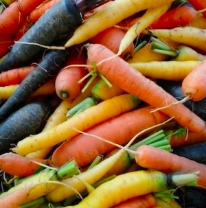 Many Forks Farm LLC