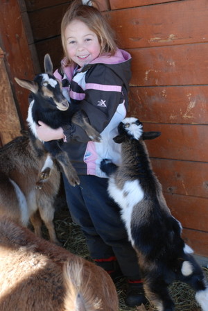 Birch Ridge Farm