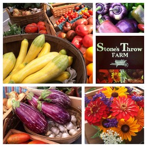 Stone's Throw Farm