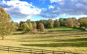 Freedom Valley Farm