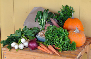 River Rise Farm