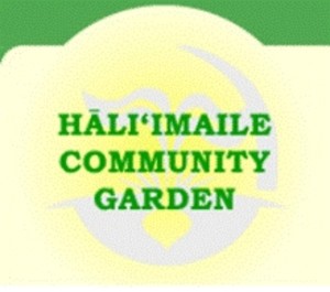 Hali'imaile Community Garden