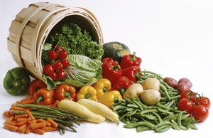Healthy Choice Farm