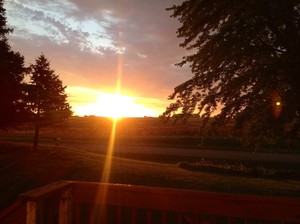 Rising Sun Acres