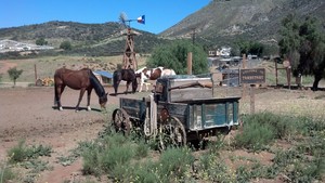 Oak Meadows Ranch