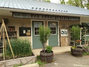 The Going Green Store