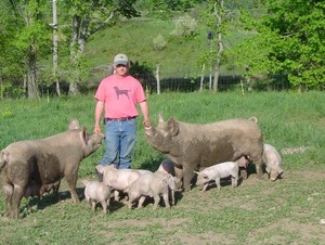 Pigasso Farms