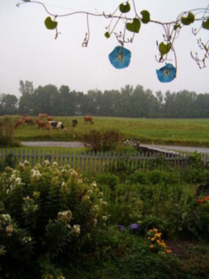 Livewater Farm