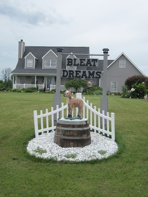 Bleat Dreams Farm