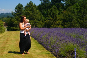 Castle Rock Lavender