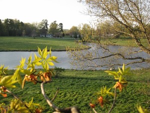 Old Holtwood Farm