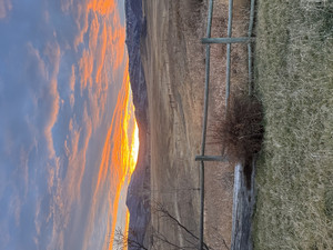 Mystic Hills Farmstead