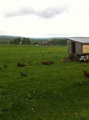 Huftalen farms