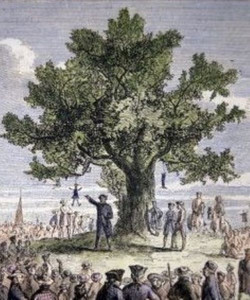 Liberty Tree Farm