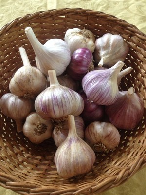 Cagneys Way Farm