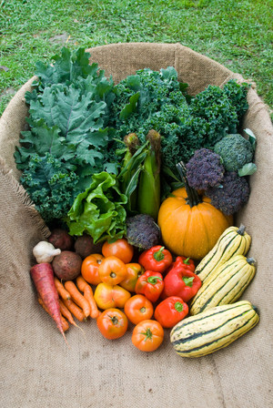 Mud Creek Farm CSA