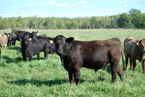 Gardner Farms
