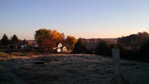 Providence Farm