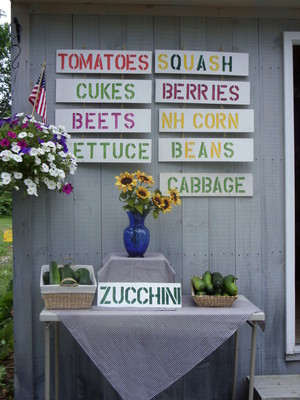 Veggies Galore & More