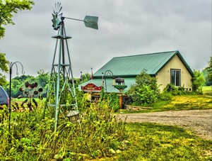 Lester's Bison Farm