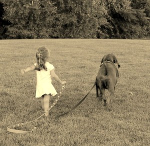 Loch Haven Farm