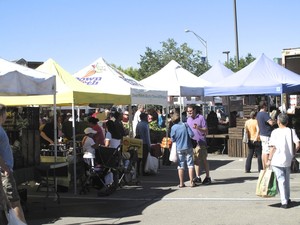 Down to Earth Ossining Farmers Market