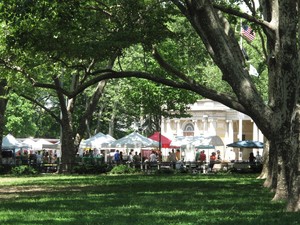 Down to Earth McGolrick Park Farmers Market