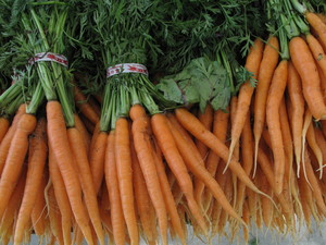 Cooper Park's Down to Earth Farmers Market