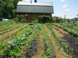 A&B Acres llc