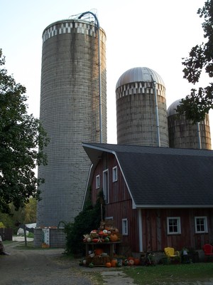 Farmer John's Pumpkin Patch