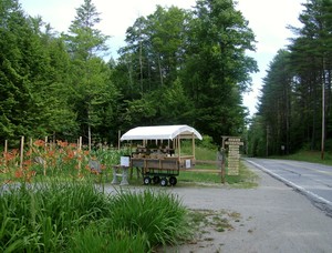 Landon Hill Estate Farm