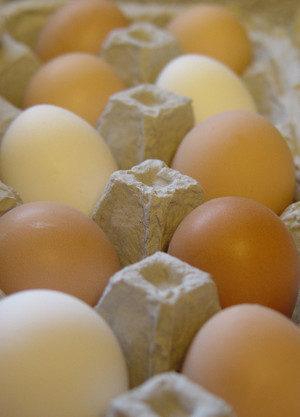 E&J Farm Fresh Eggs
