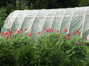 Fledgling Farmstead LLC