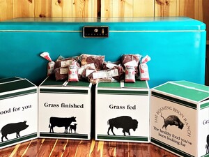 Roaming Bison Ranch
