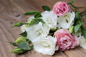 Trademarks Flower Farm