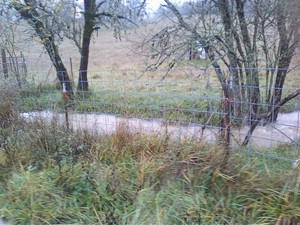 Wicked Wahine Farm