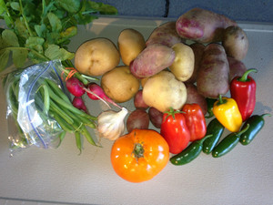 Sleepy Hollow Farm CSA