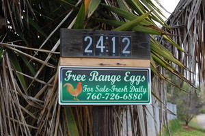 The Green Hills Ranch