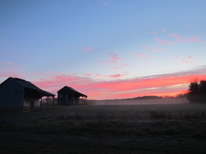 Dawnbreaker Farms