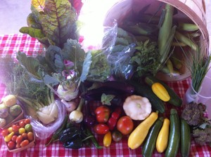 Country Roots Farm