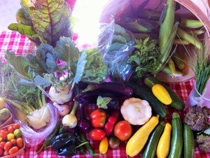Country Roots Farm