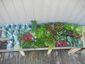 Spirit of Walloon Market Garden