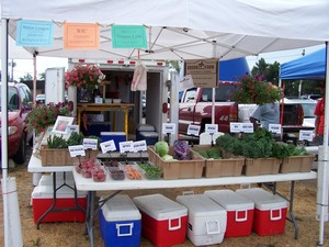 Harvard Farmers Market