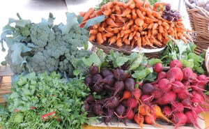 Super Natural Farm