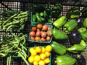 Super Natural Farm