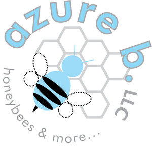 Azure B LLC