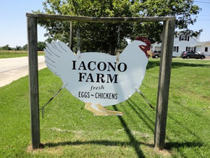 Iacono Farm