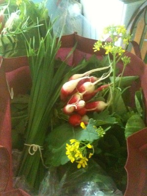 Rainbows End Farm CSA